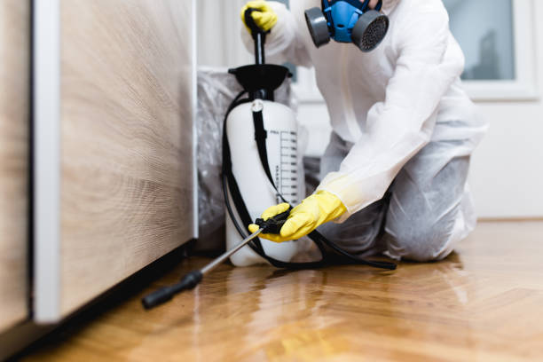 Best Best Pest Control Companies  in Green Forest, AR