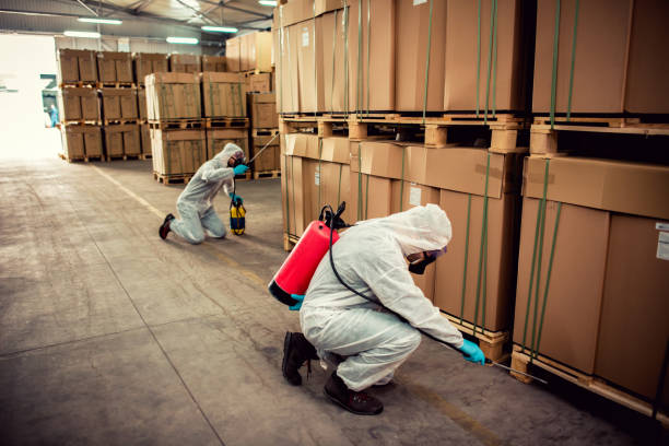 Best Residential Pest Control  in Green Forest, AR