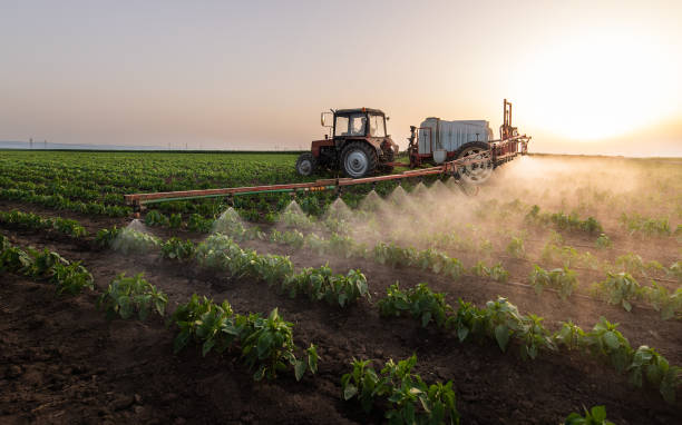 Best Pest Removal Services  in Green Forest, AR
