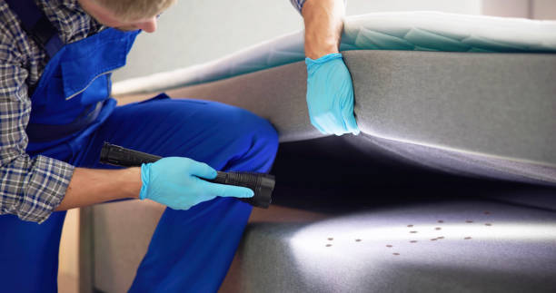 Best Pest Control Near Me  in Green Forest, AR