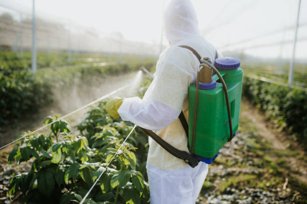 Best Flea Control Services  in Green Forest, AR